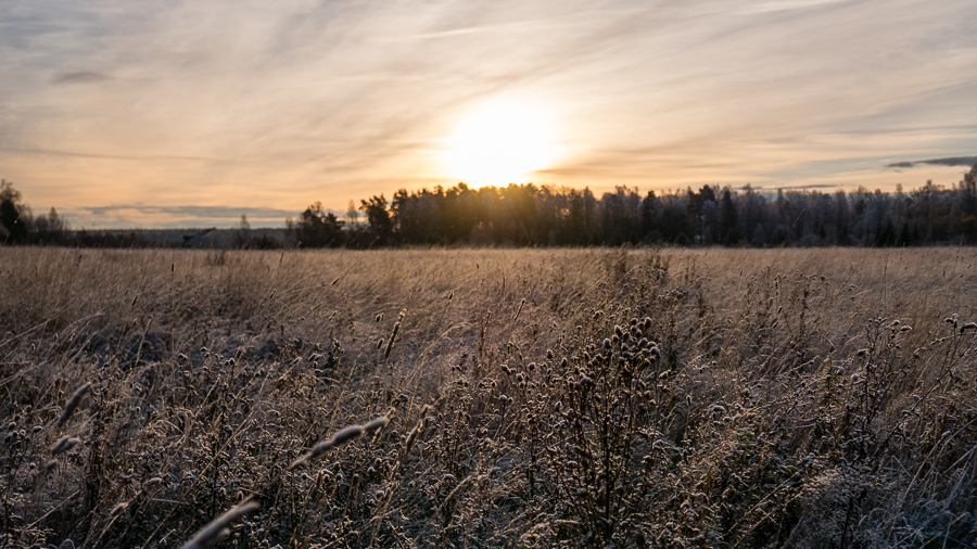 Vintermorgon